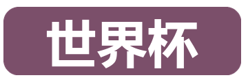 世界杯