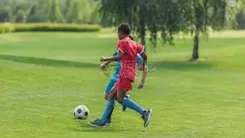詹姆斯33+17+6，东契奇21+13+5，携手击败森林狼保持四连胜