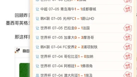 2026解放者杯18胜13负精华回顾：不容错过的精彩瞬间